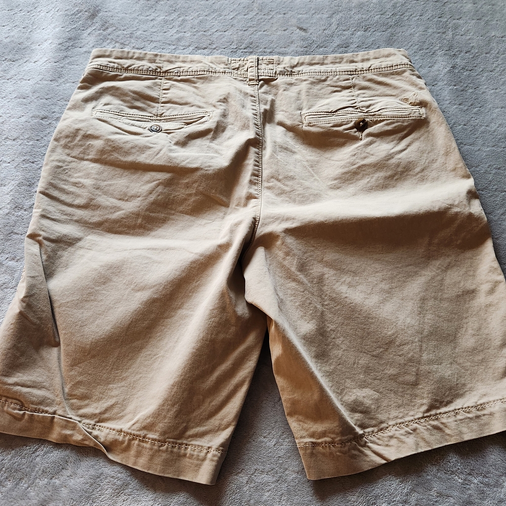 American Eagle Outfitters Men's Shorts Size 34 - Picture 10 of 11
